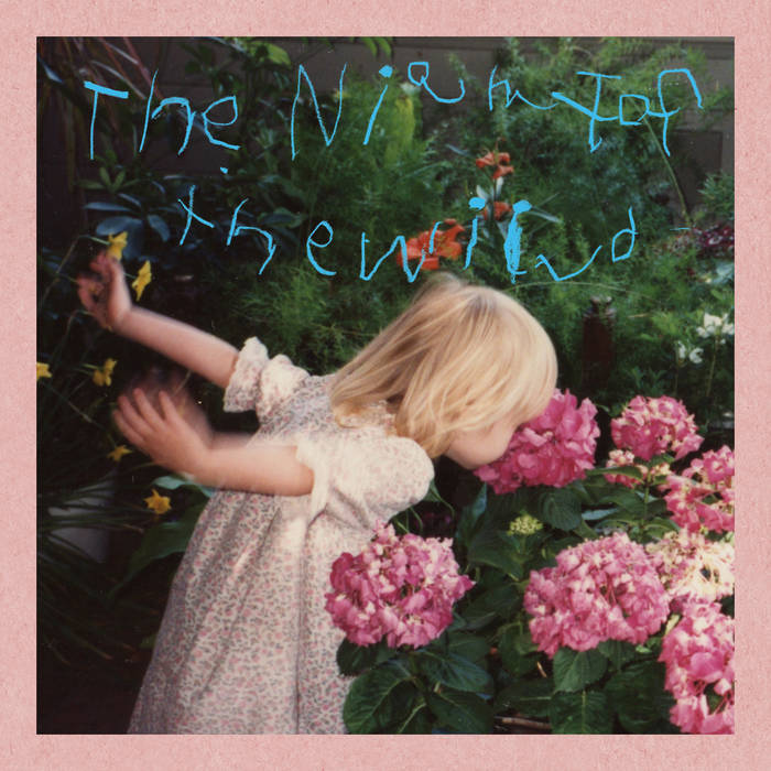 Johanna Warren - The Night of the Wind