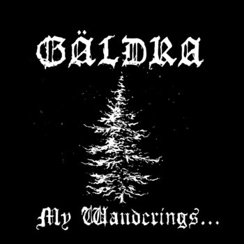 Cover of My Wanderings