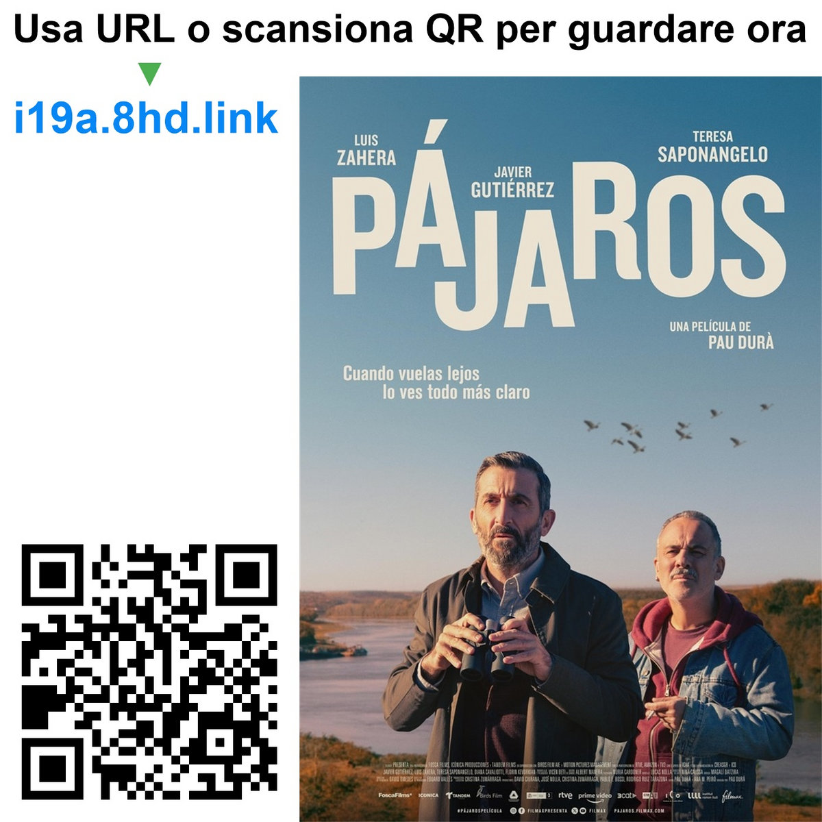 Guarda Bird Form Birds Flying East | Guarda Online Gratis