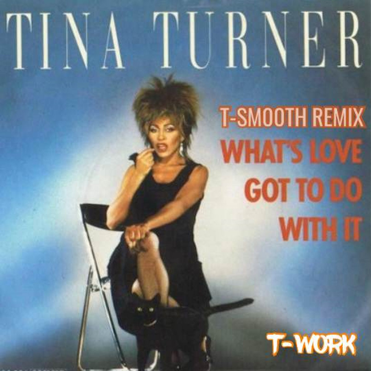 What's Love Got To Do With It (Tina Turner & TSmooth R.I.P Remix ) T
