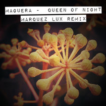 Queen Of Night (Marquez Lux Remix) cover art