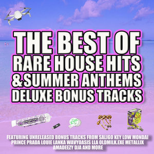 THE BEST OF RARE HOUSE HITS & SUMMER ANTHEMS DELUXE BONUS EDITIONAmadeezy & Rare Gang cover