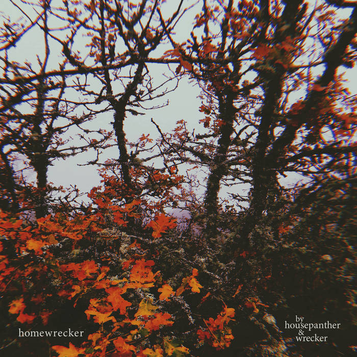 homewrecker | housepanther & wrecker | wrecker