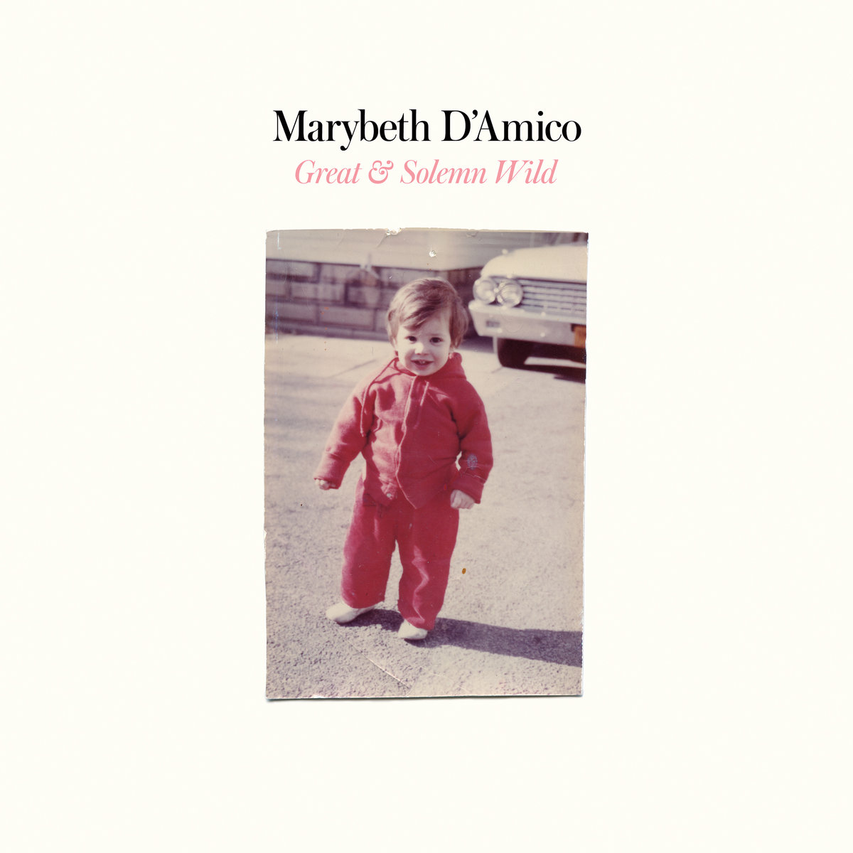 Great & Solemn Wild | Marybeth D'Amico