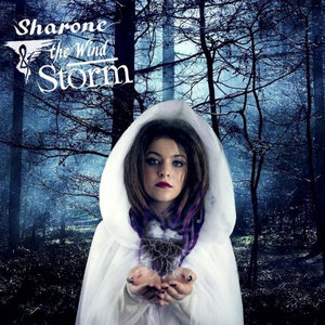 Storm cover