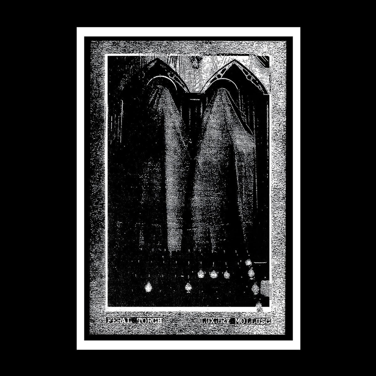 split with Luxury Mollusc cover