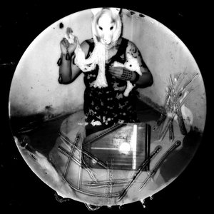 Uncertain — the ghost of a fox lives in my basement