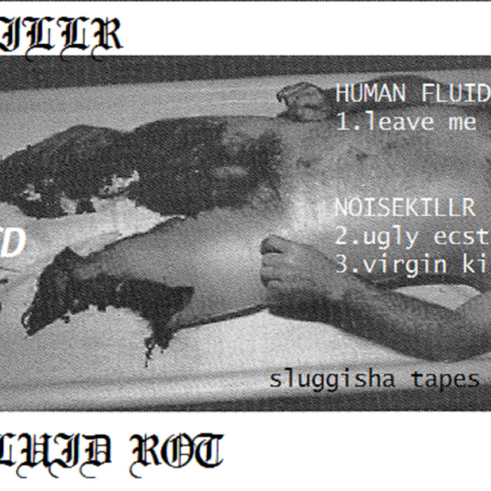 NOISEKILLR / HUMAN FLUID ROT split | NOISEKILLR / HUMAN FLUID ROT ...