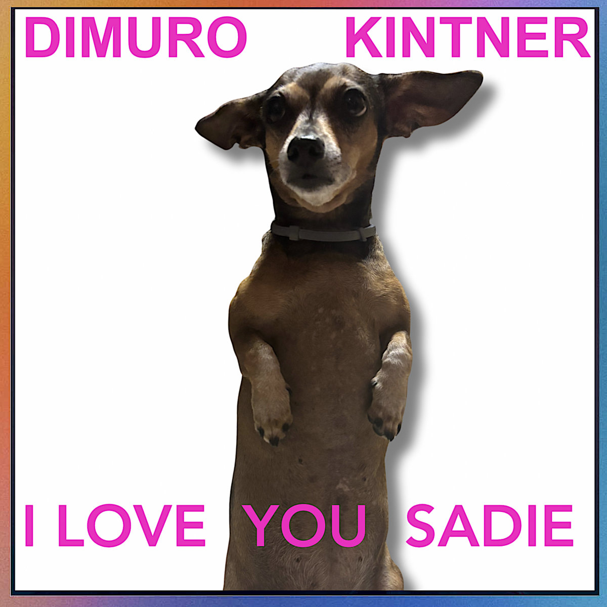 Dino DiMuro and Kelly Kintner - I Love You Sadie