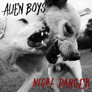 Night Danger cover