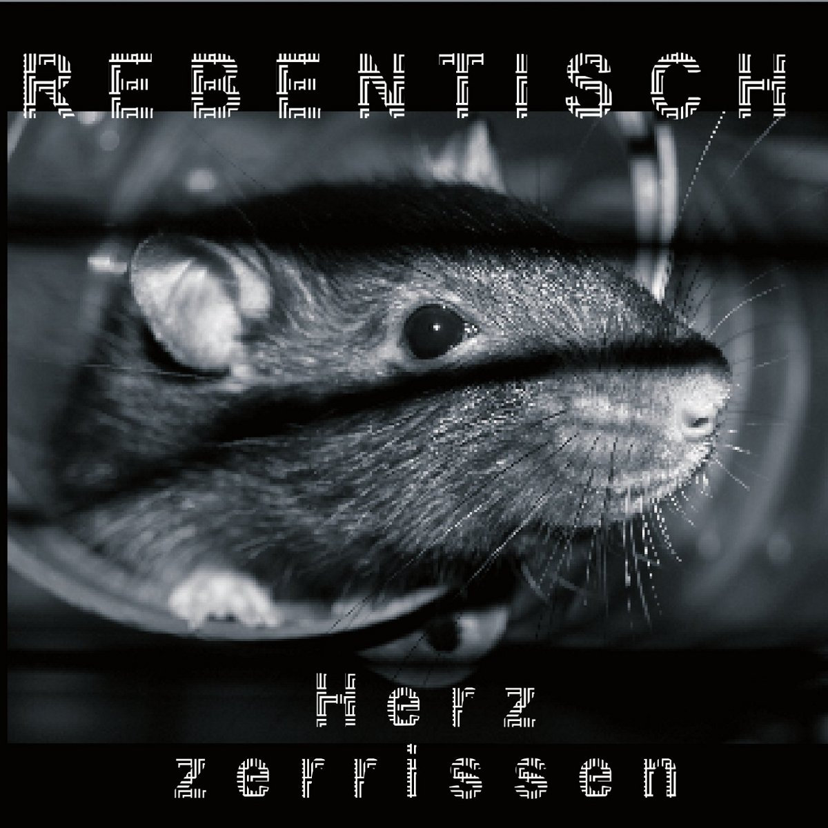 Zerrissen Zerrissen