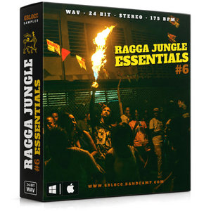Ragga Jungle Essentials 6 cover