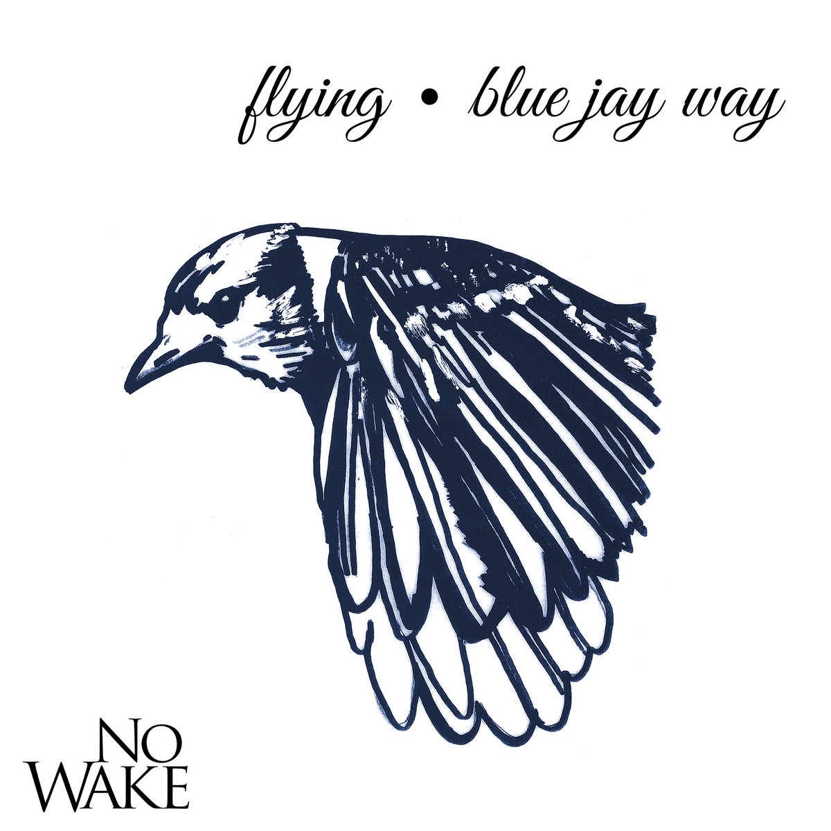 Flying / Blue Jay Way No Wake