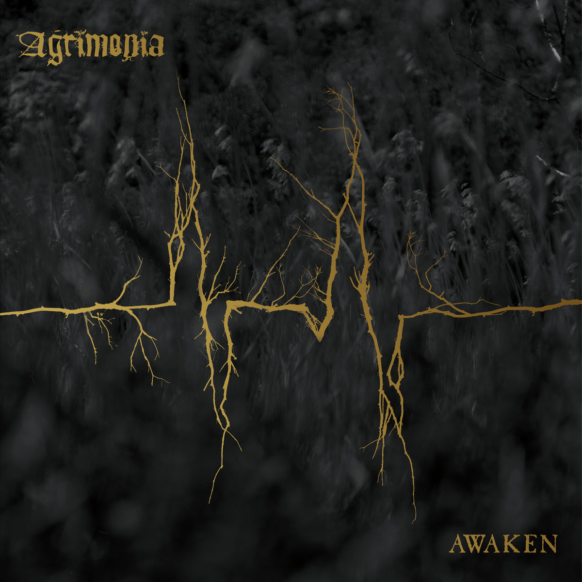 Image result for agrimonia awaken