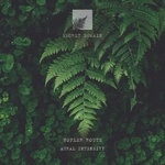 Hopler Route - Aural Intensity