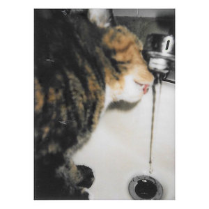 Washer Dryer - single cover