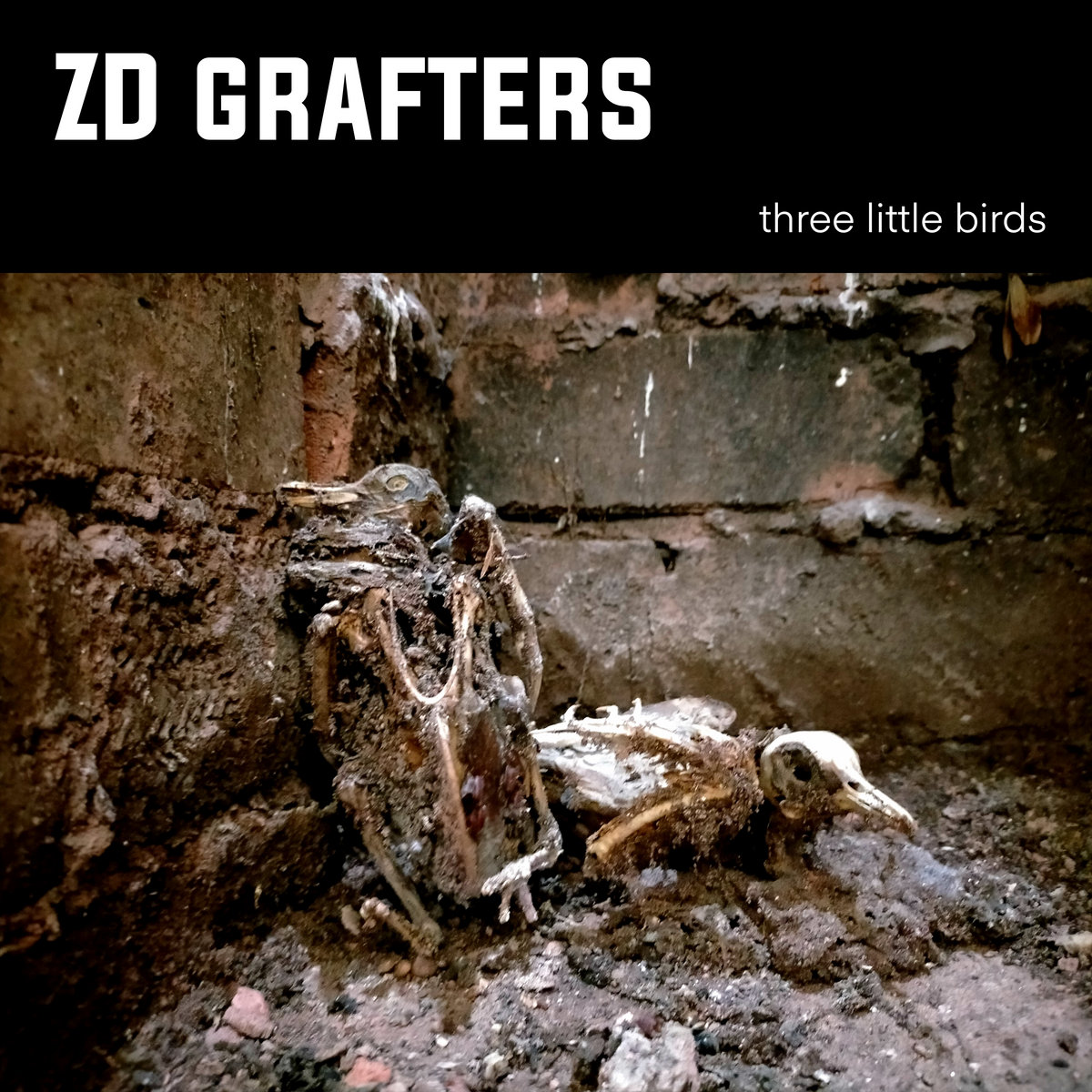 Three Little Birds | ZD Grafters