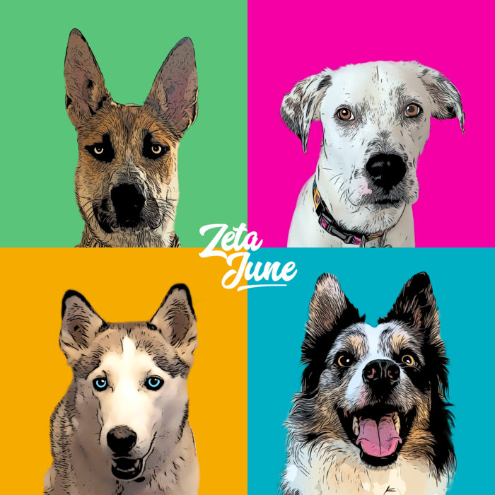 Live At Dog House Studios Zeta June