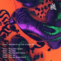 Flavius — Wide Mind EP incl. R107 & Dragne Remix