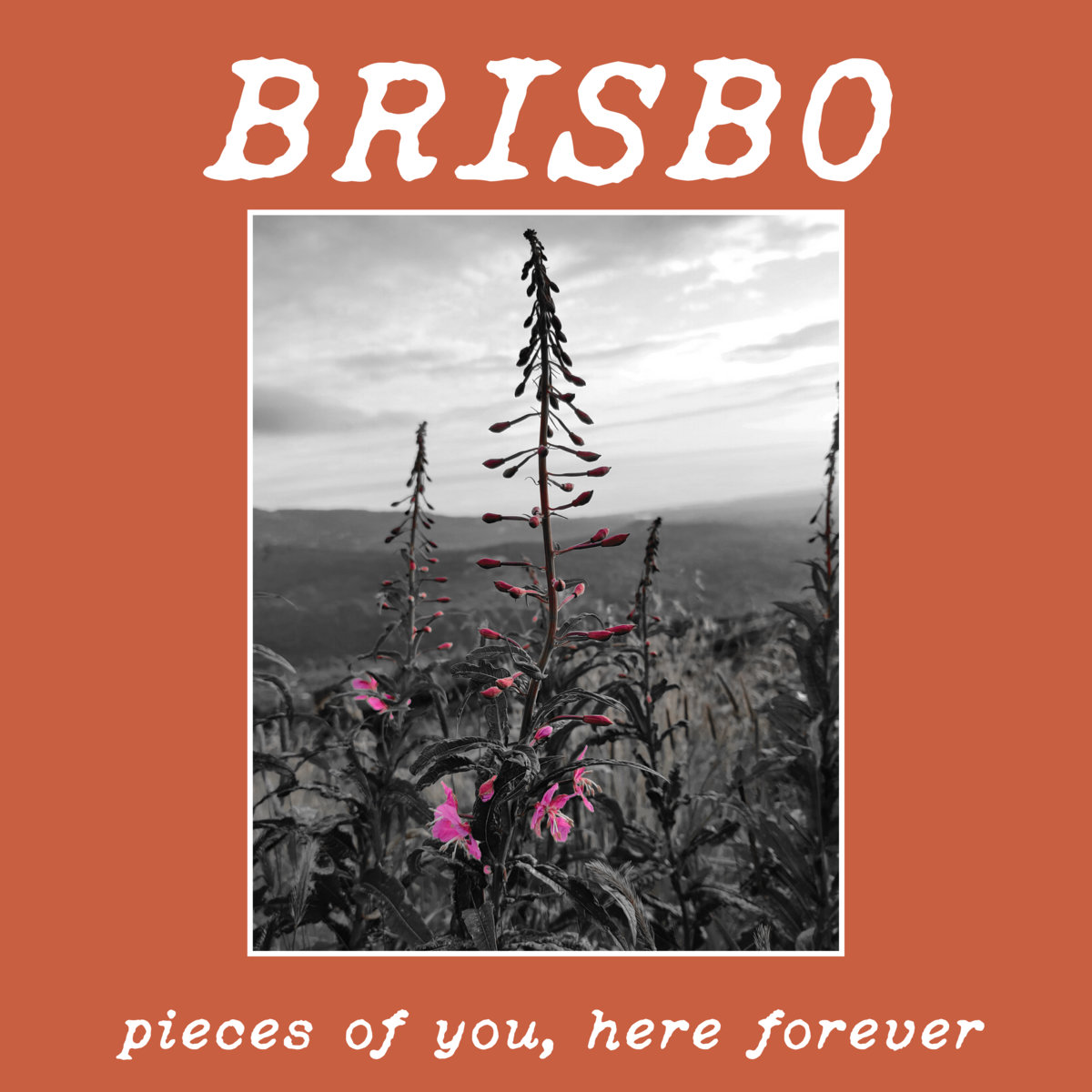 Pieces of you, here forever Brisbo