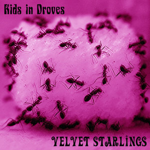 Kids In Droves cover
