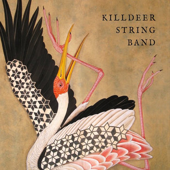 killdeer string band