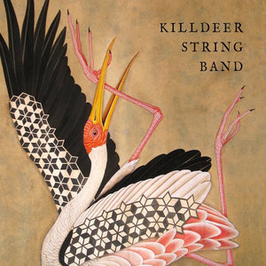 killdeer string band cover