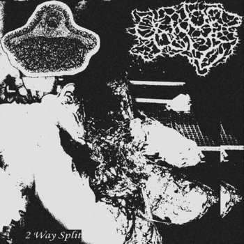 Music | noise_987