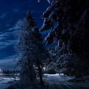 Winter tale cover