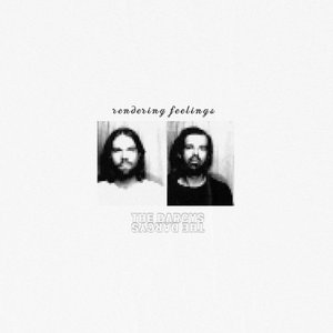 The Darcys — Rendering Feelings