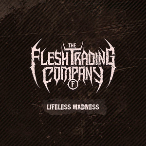 Lifeless Madness (Single) cover