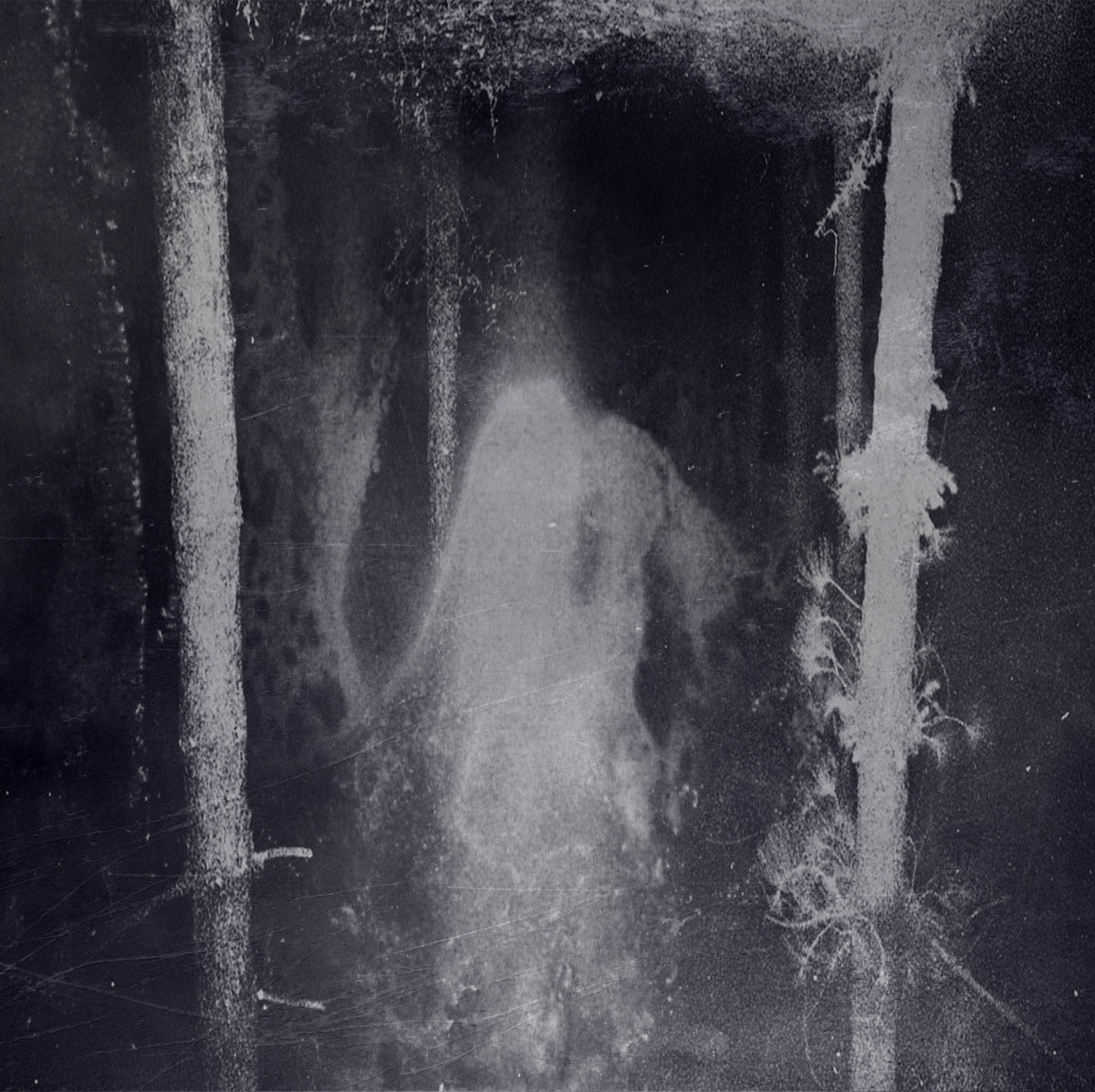 Enshrouded смертоносная пелена