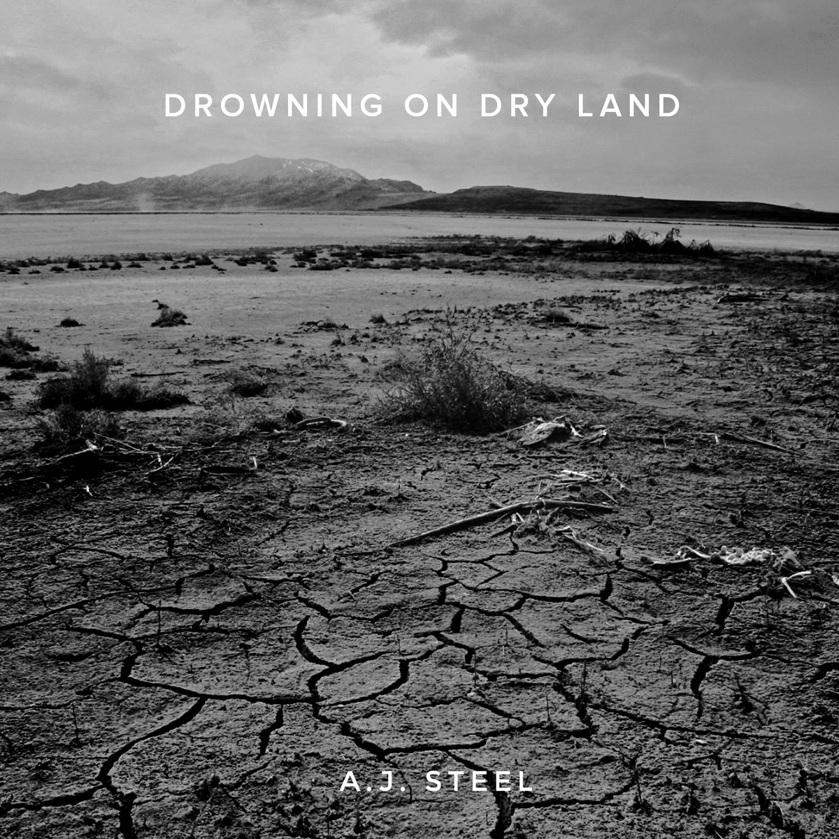 Drowning On Dry Land AJ Steel