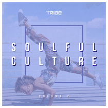 Soulful Culture Vol 2 cover art