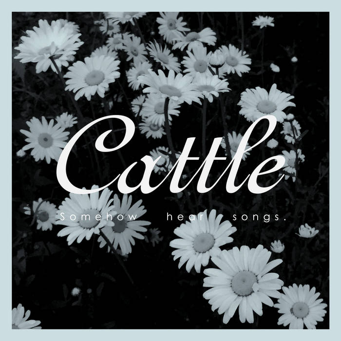 PZL079: Cattle - Somehow Hear Songs EP | Cattle | Jigsaw Records