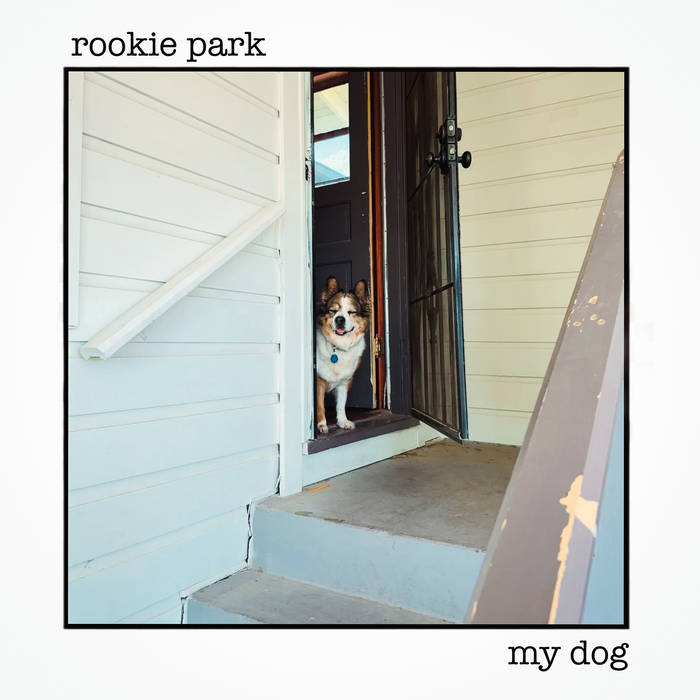 Track my clearance dog