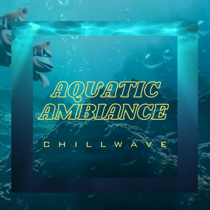 Aquatic Ambience (Re-Imagined) | David Wise, Sleepless-Nights