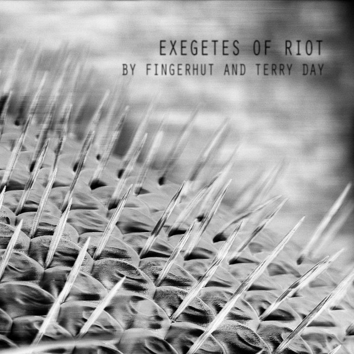 Exegetes of Riot by Fingerhut and Terry Day Fingerhut