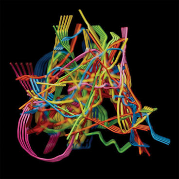 Toropical Circle | Dustin Wong & Takako Minekawa | Dustin Wong