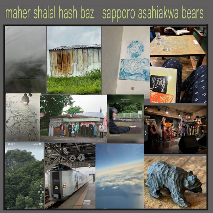 難波札幌旭川ベアーズ | maher shalal hash baz | tori kudo
