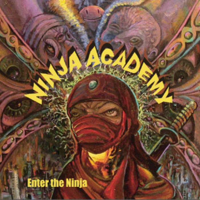 Enter The Ninja Ninja Academy