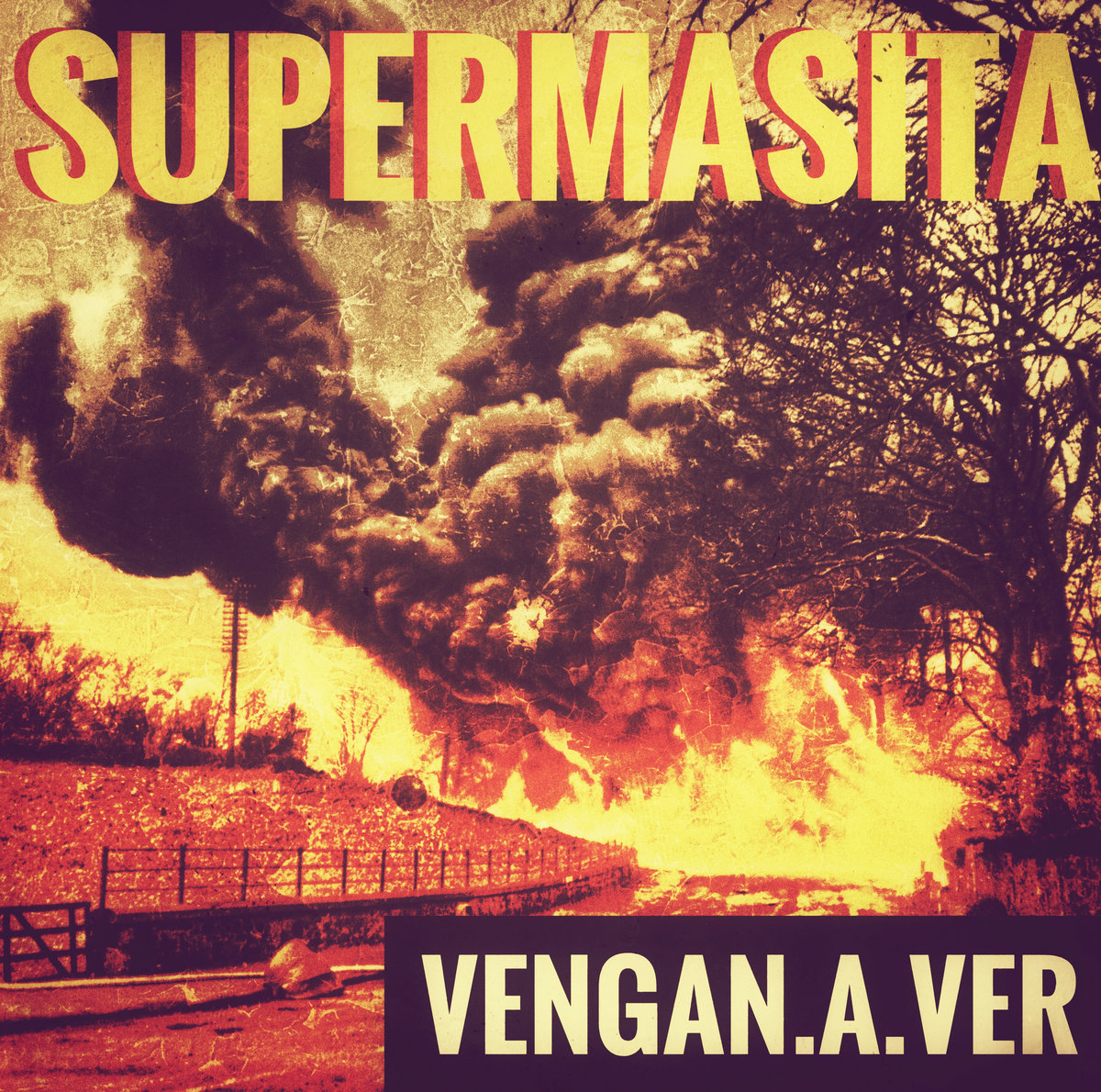 Vengan a ver cover