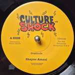 Shayne Amani - Gratitude (Culture Shock Records)