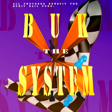 BUK THE SYSTEM main photo