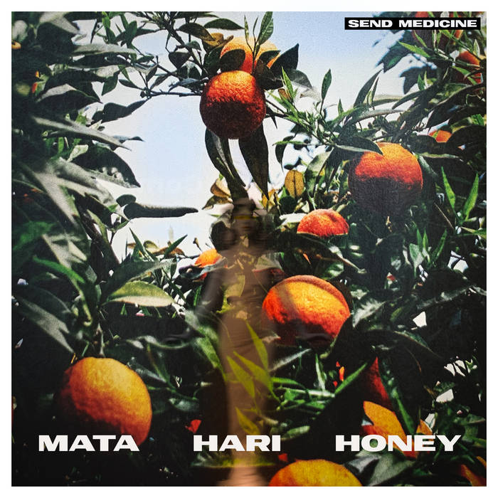 Mata Hari Honey | SEND MEDICINE