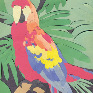 Algernon Cadwallader — Parrot Flies