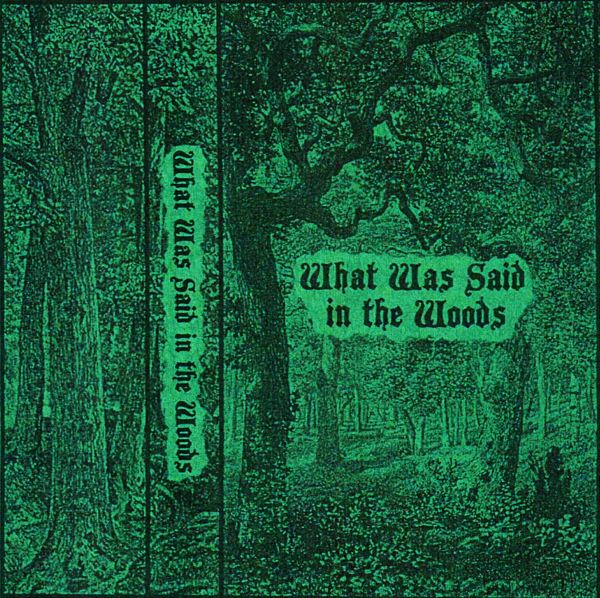 what-was-said-in-the-woods-what-was-said-in-the-woods