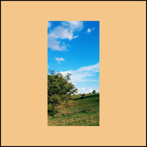 Travelogue Botany: Phase III [10th Anniversary Retrospective] cover