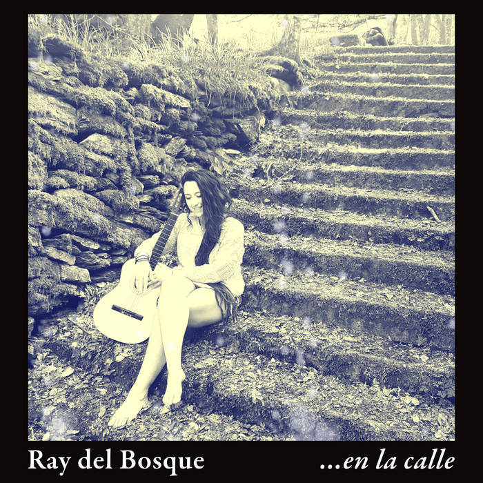 Album-Cover En la Calle