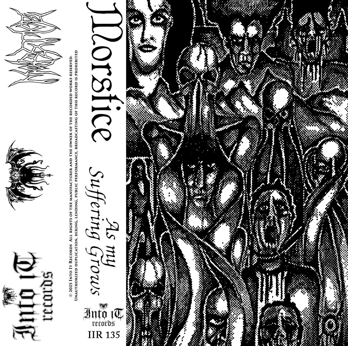 As My Suffering Grows | MORSTICE | Into It Records